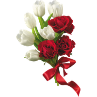 Bouquet Fresh Photos Rose Free Download PNG HQ