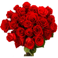 Bouquet Rose Red Free Photo