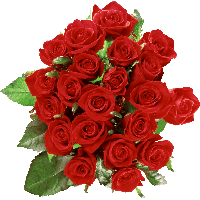 Bouquet Rose Red Free Download PNG HQ