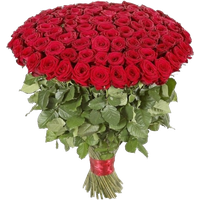 Bouquet Rose Red HD Image Free