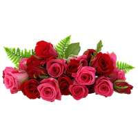 Bouquet Rose Bunch Free Download Image