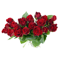 Bouquet Rose Pic Bunch Download Free Image