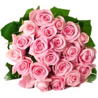 Bouquet Rose Download HQ