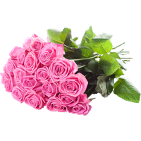 Bouquet Rose Pic PNG Image High Quality