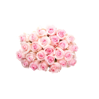 Bouquet Rose Free Transparent Image HQ