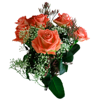 Bouquet Rose Valentine Download HD