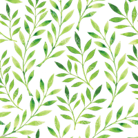 Pattern Vector Free Download Image