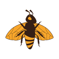 Bumble Vector Trail Bee Free Download PNG HD