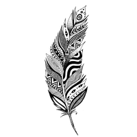 Feather Vector PNG Download Free