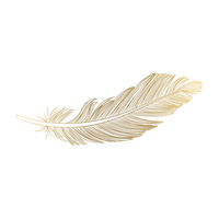 Feather Vector Free HD Image