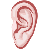 Picture Ear Vector Free PNG HQ