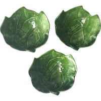 Sprouts Vector Brussels Photos Free Transparent Image HQ