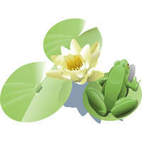 Lotus Vector Flower Free Download PNG HQ