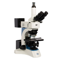 Picture Microscope Free HD Image