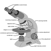 Microscope Basic Free Download Image