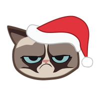 Grumpy Face Cat PNG Image High Quality
