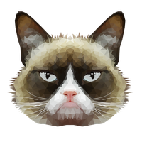 Grumpy Face Cat Free PNG HQ