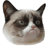 Grumpy Face Cat Free Clipart HD