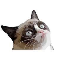 Grumpy Face Cat Free Download PNG HD