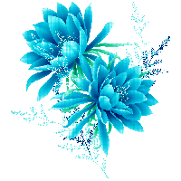 Images Abstract Flower Free Transparent Image HD
