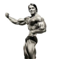 Schwarzenegger Arnold Free Clipart HD