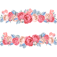 Vector Frame Flowers PNG Free Photo
