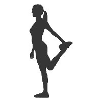 Picture Vector Exercise Stretching HD Image Free