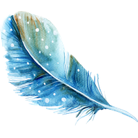 Watercolor Feather PNG Image High Quality
