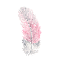 Watercolor Feather Free Clipart HQ