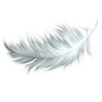Watercolor Feather PNG File HD