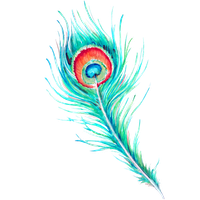 Watercolor Picture Feather Free Transparent Image HQ