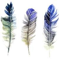 Watercolor Feather PNG Download Free