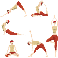 Vector Exercise PNG Image High Quality