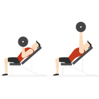 Photos Vector Exercise PNG File HD