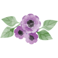 Watercolor Flower Free PNG HQ