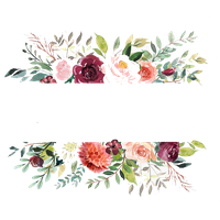 Watercolor Flower Free Download PNG HD