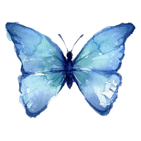 Butterfly Watercolor Art Photos Free Download PNG HD