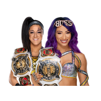 Bayley Wwe Wrestler Picture Free Download PNG HD