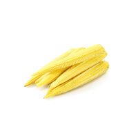 Baby Corn Peeled Cobs PNG File HD