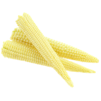 Baby Cornlets Corn Cobs Download HQ