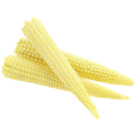 Baby Corn Young Cobs PNG Image High Quality