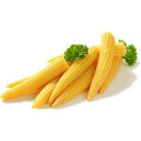 Baby Fresh Corn Cobs Free Download PNG HD