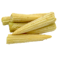 Baby Corn Mature Cobs HD Image Free
