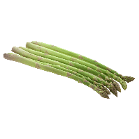 Asparagus Bundle HD Image Free