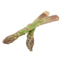 Asparagus Bundle PNG File HD
