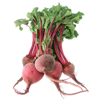 Beetroot Bunch Free Download PNG HD