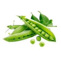 Beans Green Peas Download Free Image