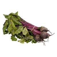 Beetroot Vegetable Bunch Free HQ Image