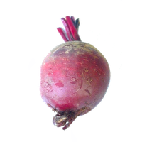 Beetroot Red Free Clipart HQ