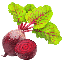 Beetroot Sliced Leaves PNG Image High Quality